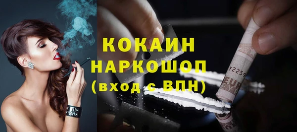 прущий лед Алзамай