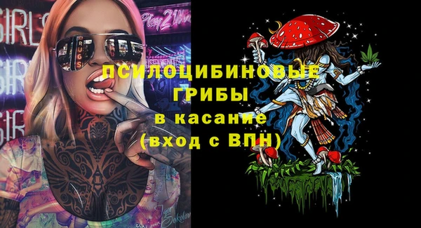 прущий лед Алзамай