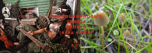 прущий лед Алзамай