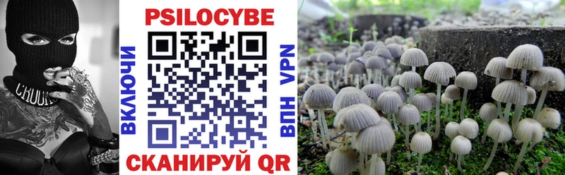 дарнет шоп  Пошехонье  Галлюциногенные грибы Cubensis 